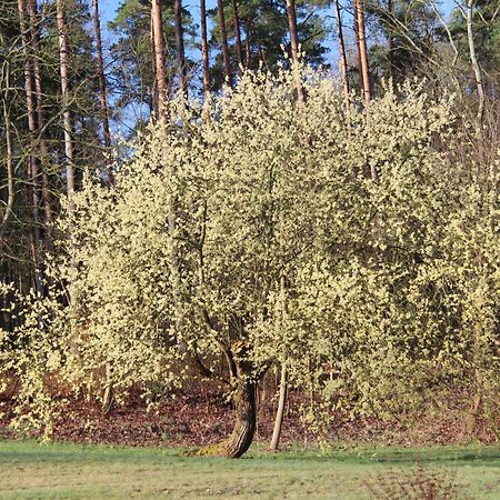 Вилла Ferien In Troja Larz Экстерьер фото
